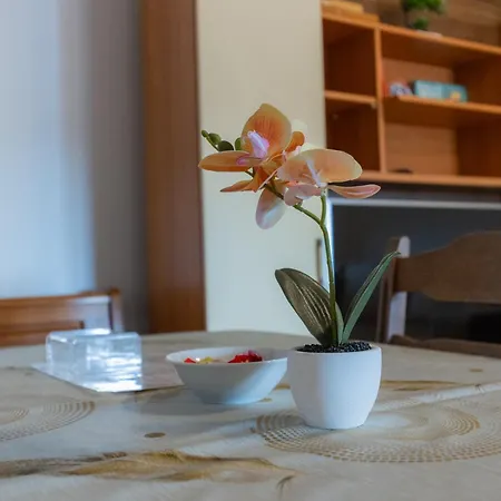 Kozarje Guest house Ljubljana